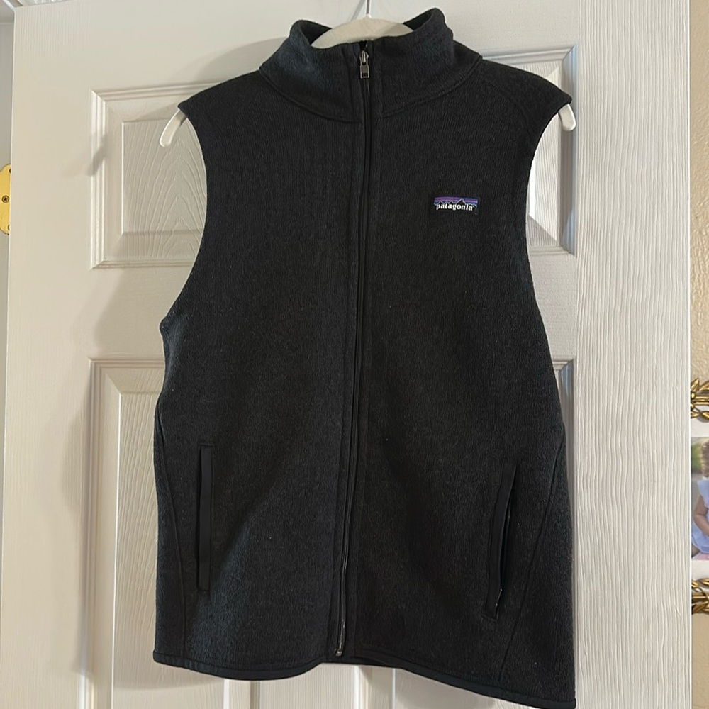 Patagonia Better Sweater Fleece Vest